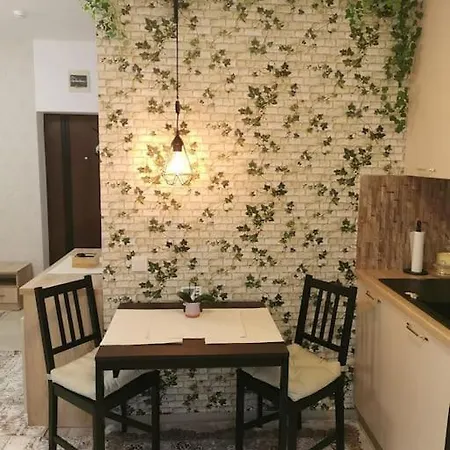 Studio Green Modern! Suceava Exterior foto