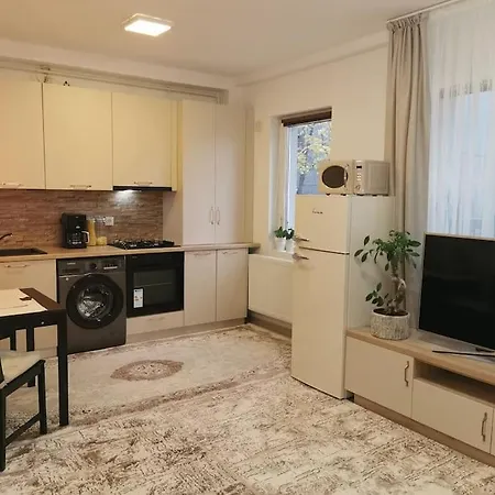 Studio Green Modern! Suceava Exterior foto