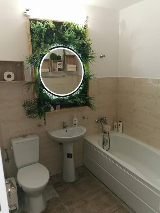 Modern! Apartment Suceava