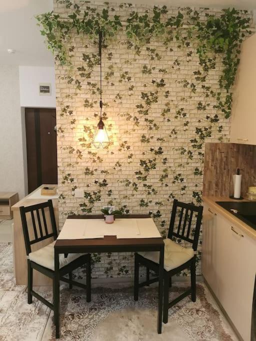 Apartment Modern! Suceava
