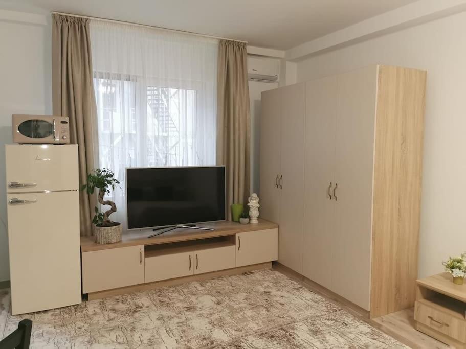 Apartment Modern! Suceava
