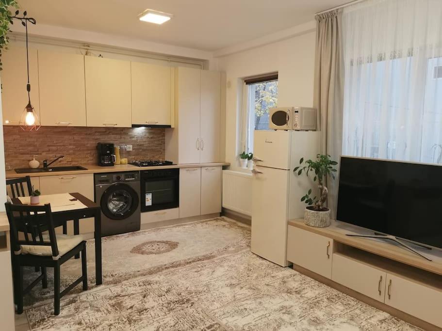 Apartment Modern! Suceava